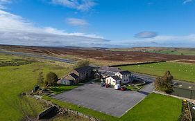 The Dog And Partridge